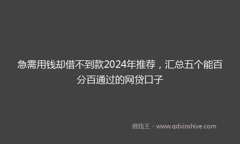 急需用钱却借不到款2024年推荐，汇总五个能百分百通过的网贷口子