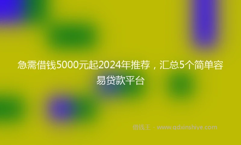 急需借钱5000元起2024年推荐，汇总5个简单容易贷款平台