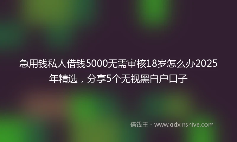 急用钱私人借钱5000无需审核18岁怎么办2025年精选，分享5个无视黑白户口子
