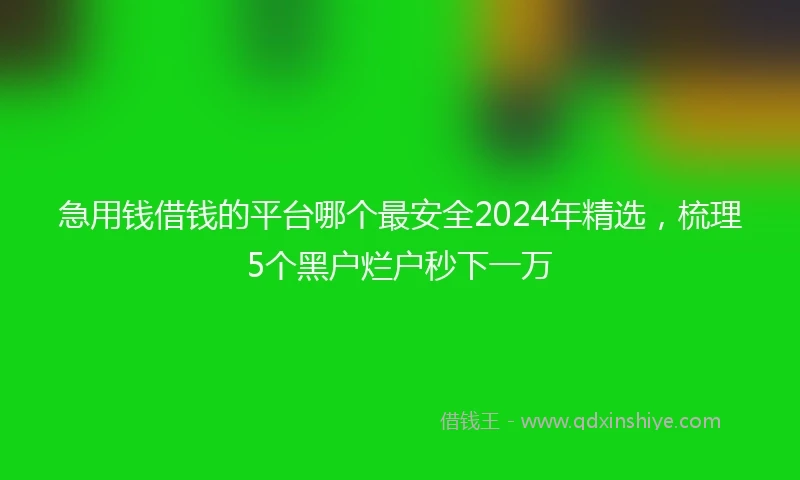 急用钱借钱的平台哪个最安全2024年精选，梳理5个黑户烂户秒下一万
