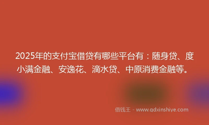 2025年的支付宝借贷有哪些平台有：随身贷、度小满金融、安逸花、滴水贷、中原消费金融等。