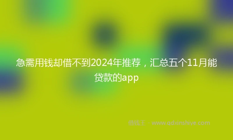 急需用钱却借不到2024年推荐，汇总五个11月能贷款的app