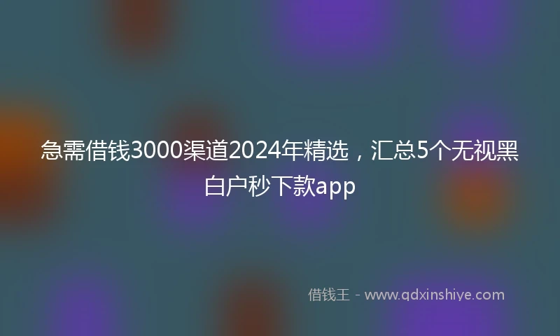 急需借钱3000渠道2024年精选，汇总5个无视黑白户秒下款app