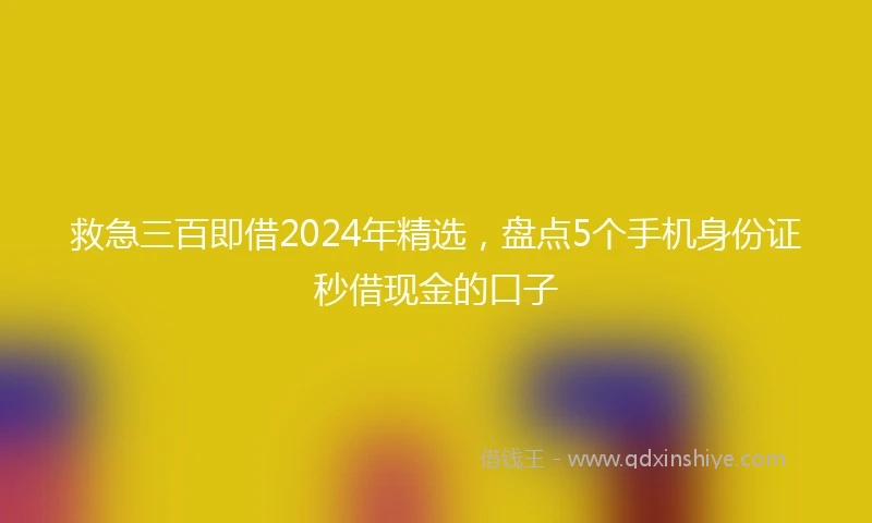 救急三百即借2024年精选，盘点5个手机身份证秒借现金的口子