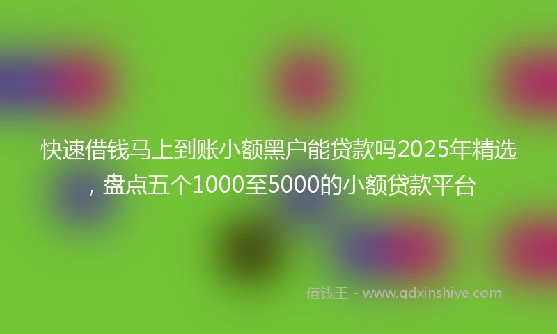 快速借钱马上到账小额黑户能贷款吗2025年精选，盘点五个1000至5000的小额贷款平台