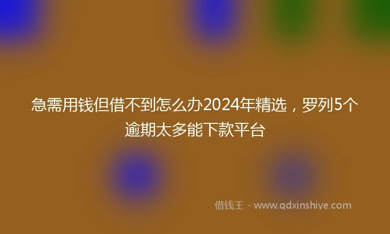 急需用钱但借不到怎么办2024年精选，罗列5个逾期太多能下款平台