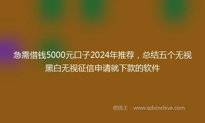 急需借钱5000元口子2024年推荐，总结五个无视黑白无视征信申请就下款的软件