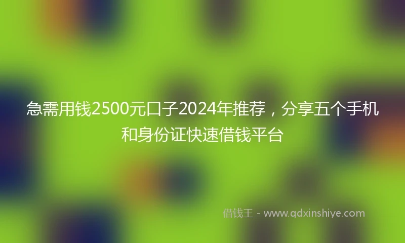 急需用钱2500元口子2024年推荐，分享五个手机和身份证快速借钱平台