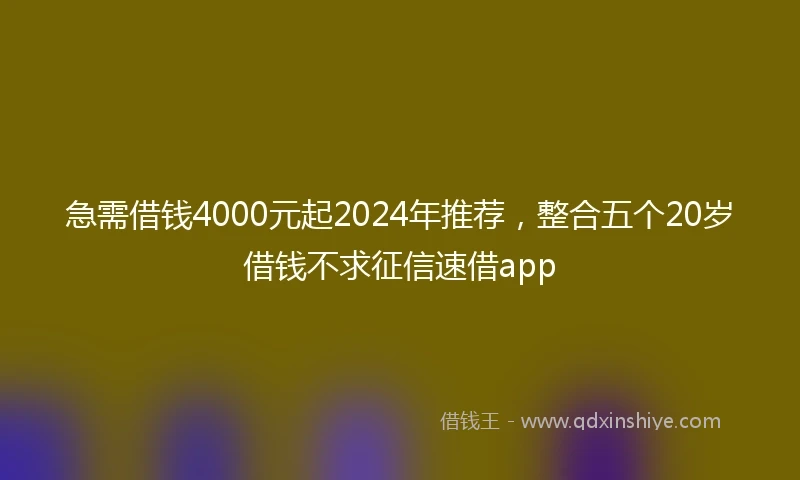 急需借钱4000元起2024年推荐，整合五个20岁借钱不求征信速借app
