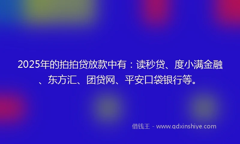2025年的拍拍贷放款中有：读秒贷、度小满金融、东方汇、团贷网、平安口袋银行等。