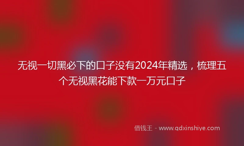 无视一切黑必下的口子没有2024年精选，梳理五个无视黑花能下款一万元口子
