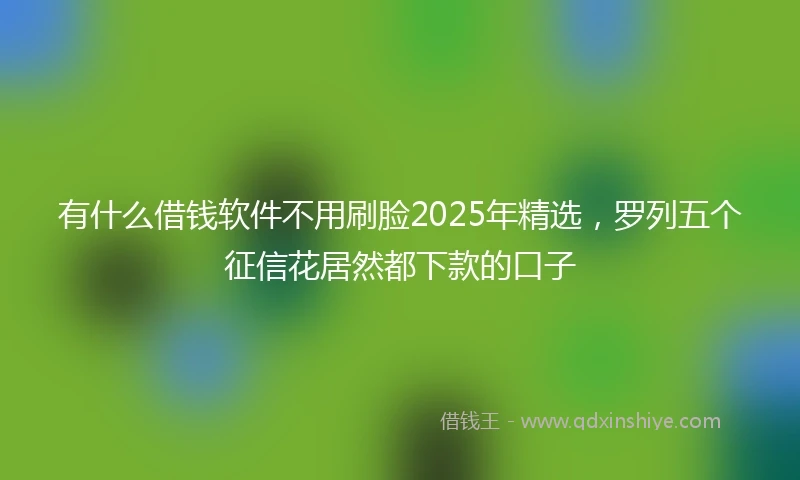 有什么借钱软件不用刷脸2025年精选，罗列五个征信花居然都下款的口子