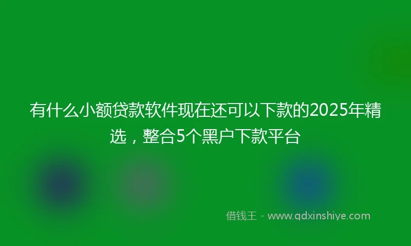 有什么小额贷款软件现在还可以下款的2025年精选，整合5个黑户下款平台