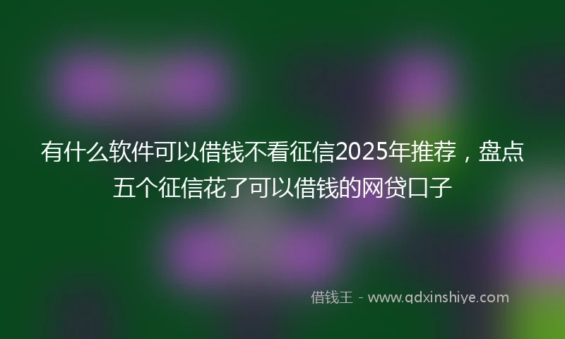 有什么软件可以借钱不看征信2025年推荐,盘点五个征信花了可以借钱的网贷口子