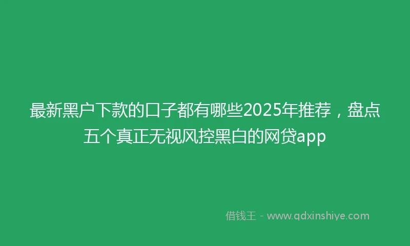 最新黑户下款的口子都有哪些2025年推荐，盘点五个真正无视风控黑白的网贷app