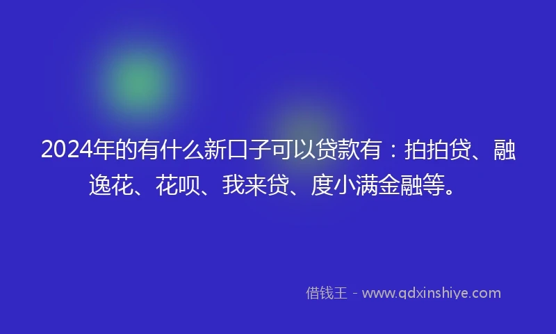 2024年的有什么新口子可以贷款有：拍拍贷、融逸花、花呗、我来贷、度小满金融等。