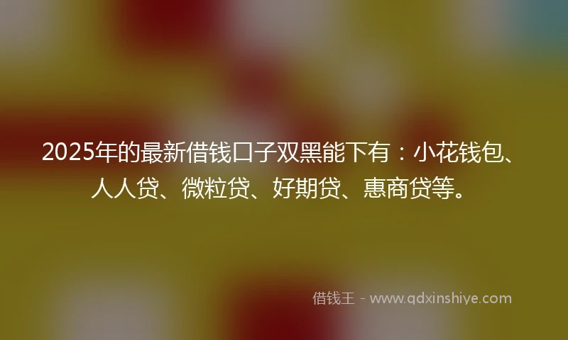 2025年的最新借钱口子双黑能下有：小花钱包、人人贷、微粒贷、好期贷、惠商贷等。