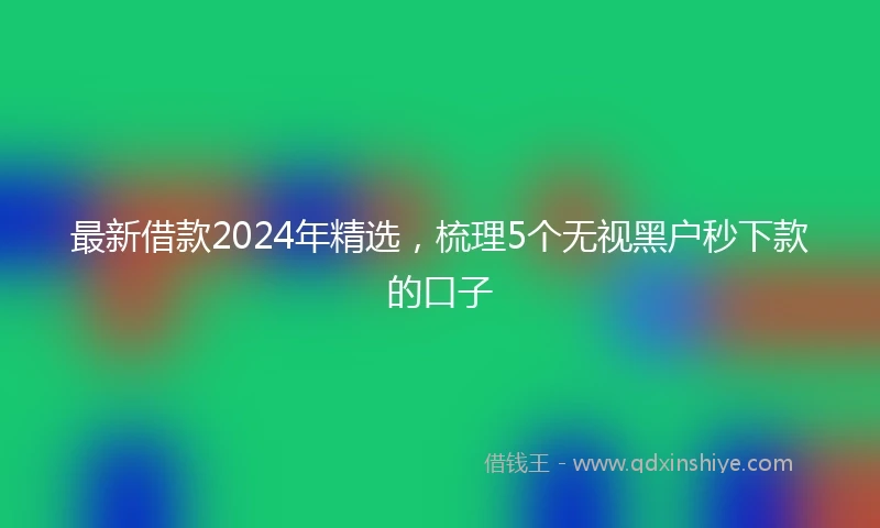 最新借款2024年精选，梳理5个无视黑户秒下款的口子