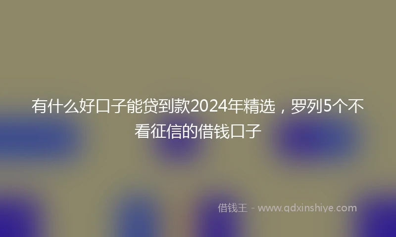 有什么好口子能贷到款2024年精选，罗列5个不看征信的借钱口子