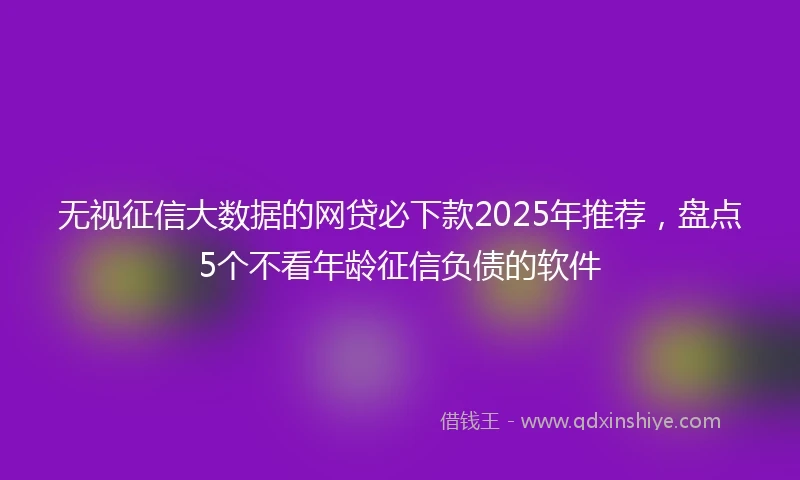无视征信大数据的网贷必下款2025年推荐，盘点5个不看年龄征信负债的软件