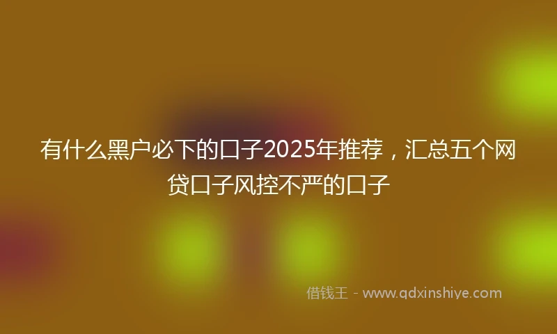 有什么黑户必下的口子2025年推荐，汇总五个网贷口子风控不严的口子