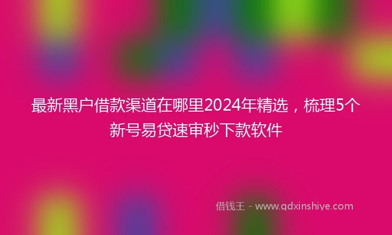 最新黑户借款渠道在哪里2024年精选，梳理5个新号易贷速审秒下款软件