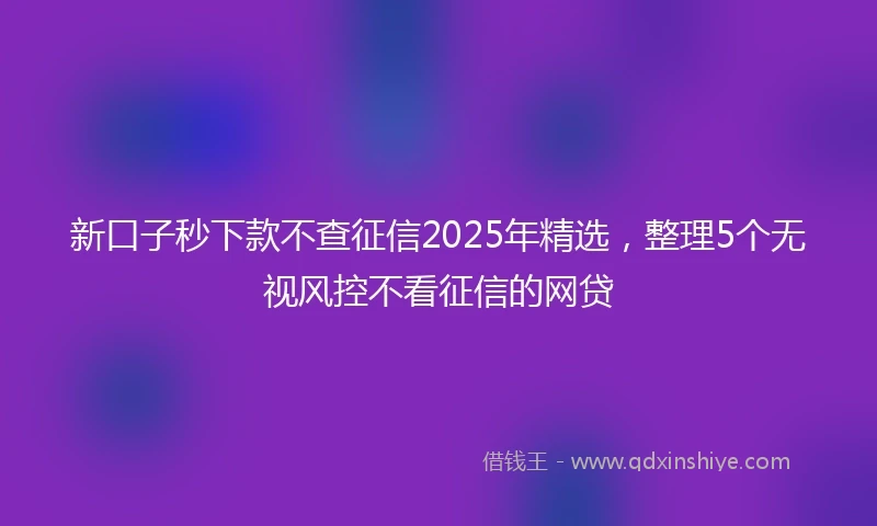新口子秒下款不查征信2025年精选，整理5个无视风控不看征信的网贷