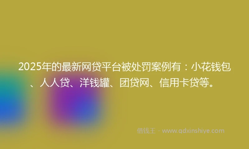 2025年的最新网贷平台被处罚案例有：小花钱包、人人贷、洋钱罐、团贷网、信用卡贷等。