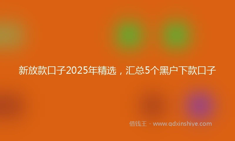 新放款口子2025年精选，汇总5个黑户下款口子