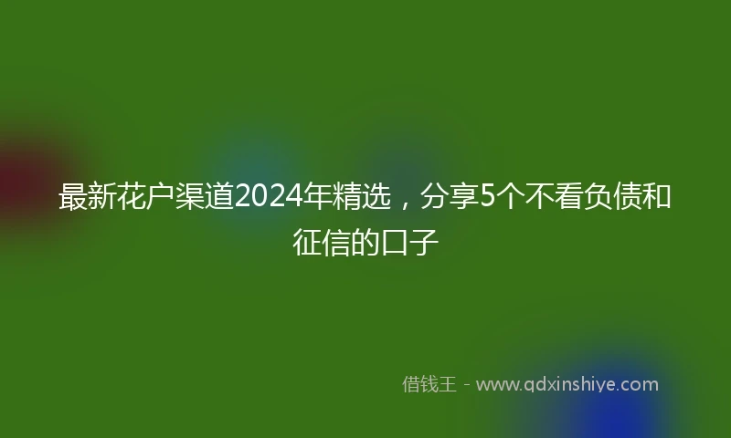 最新花户渠道2024年精选，分享5个不看负债和征信的口子