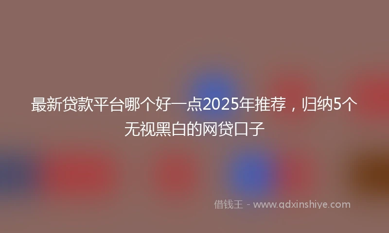 最新贷款平台哪个好一点2025年推荐，归纳5个无视黑白的网贷口子