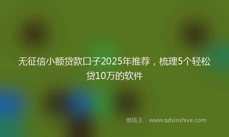 无征信小额贷款口子2025年推荐，梳理5个轻松贷10万的软件