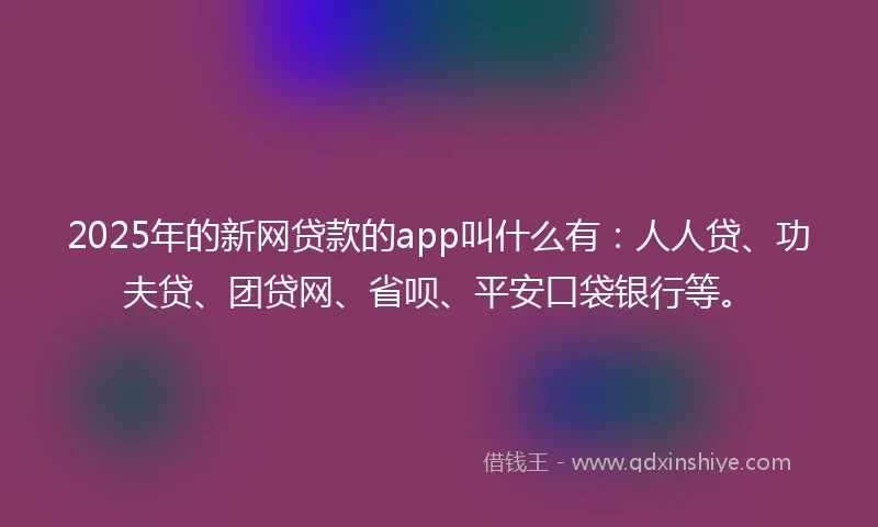 2025年的新网贷款的app叫什么有：人人贷、功夫贷、团贷网、省呗、平安口袋银行等。