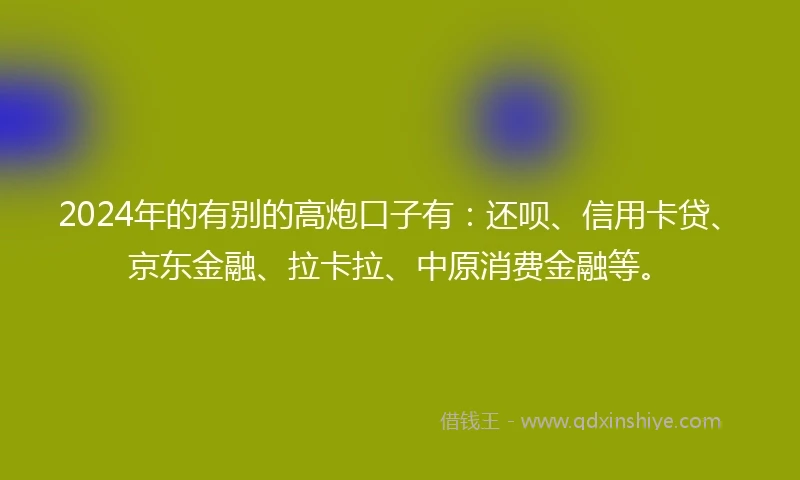 2024年的有别的高炮口子有：还呗、信用卡贷、京东金融、拉卡拉、中原消费金融等。