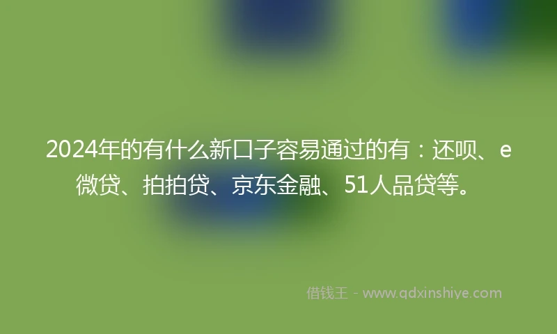 2024年的有什么新口子容易通过的有：还呗、e微贷、拍拍贷、京东金融、51人品贷等。
