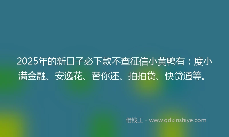 2025年的新口子必下款不查征信小黄鸭有：度小满金融、安逸花、替你还、拍拍贷、快贷通等。