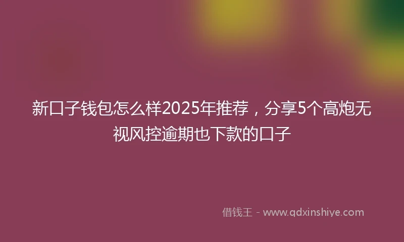 新口子钱包怎么样2025年推荐，分享5个高炮无视风控逾期也下款的口子