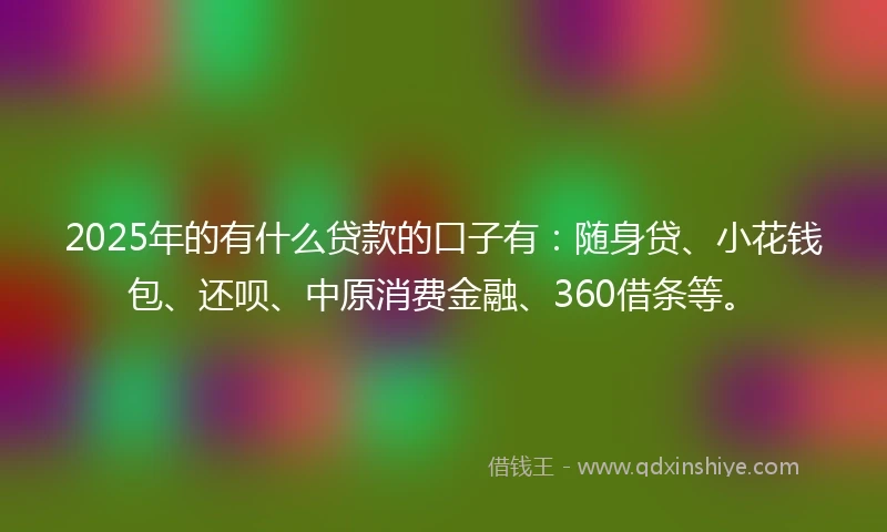 2025年的有什么贷款的口子有：随身贷、小花钱包、还呗、中原消费金融、360借条等。
