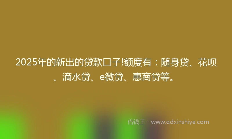 2025年的新出的贷款口子!额度有：随身贷、花呗、滴水贷、e微贷、惠商贷等。