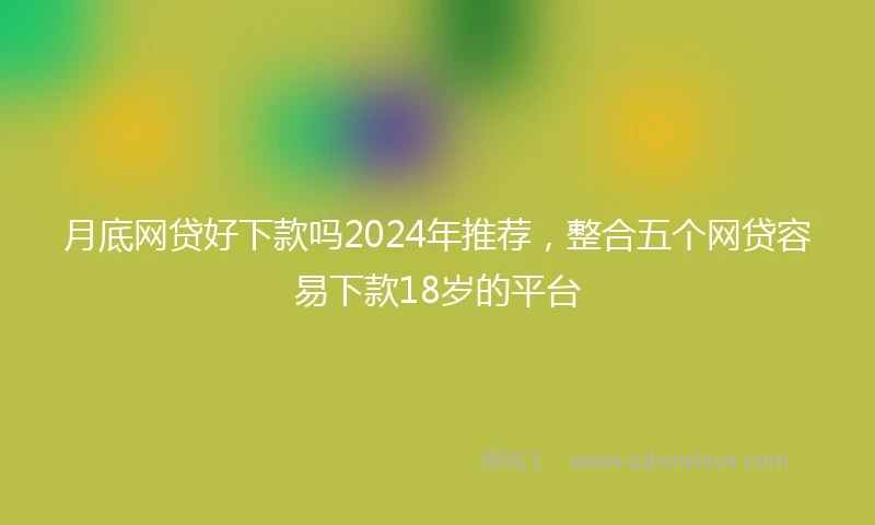 月底网贷好下款吗2024年推荐，整合五个网贷容易下款18岁的平台