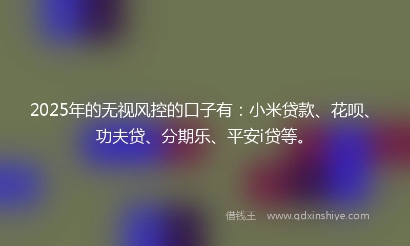 2025年的无视风控的口子有：小米贷款、花呗、功夫贷、分期乐、平安i贷等。