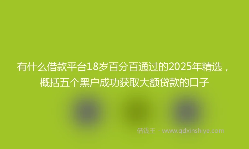 有什么借款平台18岁百分百通过的2025年精选，概括五个黑户成功获取大额贷款的口子