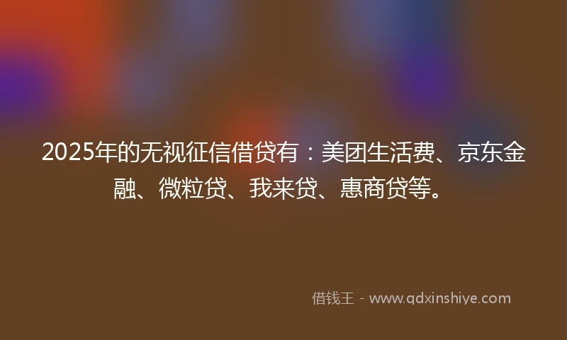 2025年的无视征信借贷有：美团生活费、京东金融、微粒贷、我来贷、惠商贷等。