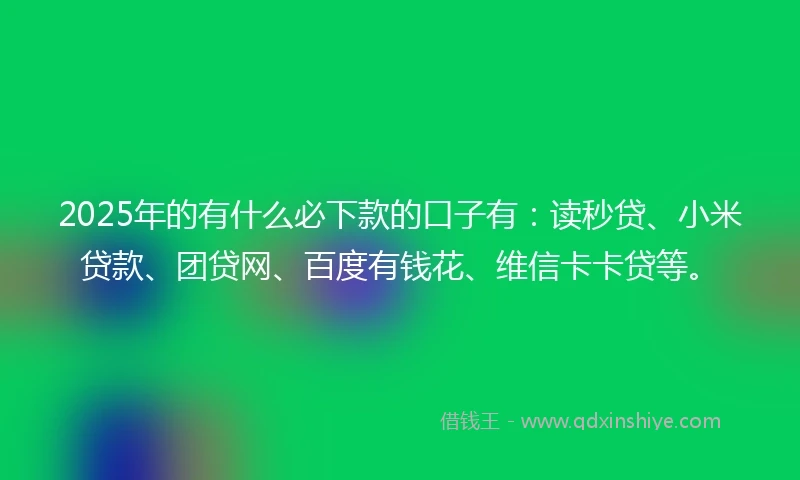 2025年的有什么必下款的口子有：读秒贷、小米贷款、团贷网、百度有钱花、维信卡卡贷等。