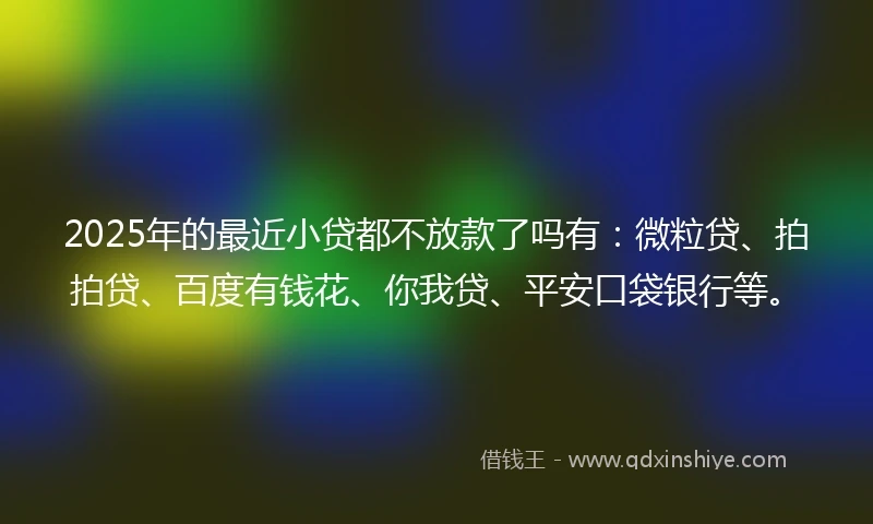 2025年的最近小贷都不放款了吗有：微粒贷、拍拍贷、百度有钱花、你我贷、平安口袋银行等。