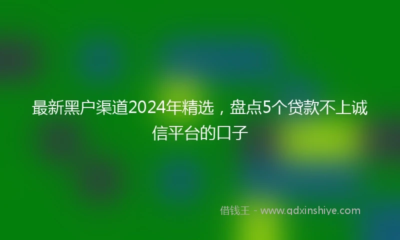 最新黑户渠道2024年精选，盘点5个贷款不上诚信平台的口子