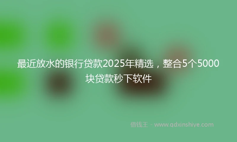 最近放水的银行贷款2025年精选，整合5个5000块贷款秒下软件