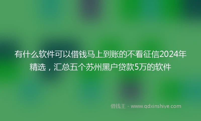 有什么软件可以借钱马上到账的不看征信2024年精选，汇总五个苏州黑户贷款5万的软件