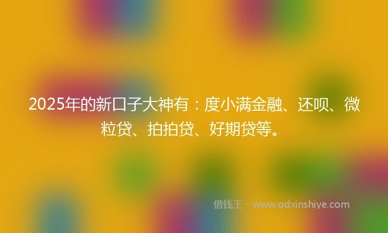 2025年的新口子大神有：度小满金融、还呗、微粒贷、拍拍贷、好期贷等。