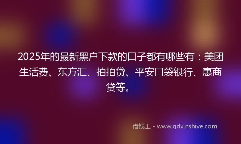 2025年的最新黑户下款的口子都有哪些有：美团生活费、东方汇、拍拍贷、平安口袋银行、惠商贷等。